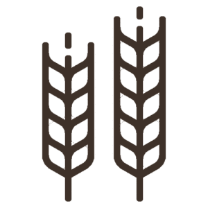 
Vestibulum ac diam sit amet quam vehicula elementum